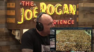 MS-13, US, El Salvador? A Gang's Journey Across Borders - Joey Diaz on JRE