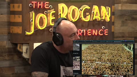 MS-13, US, El Salvador? A Gang's Journey Across Borders - Joey Diaz on JRE