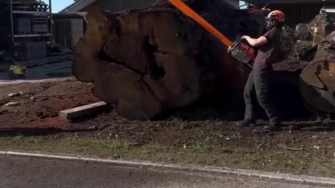 Giant Chainsaw