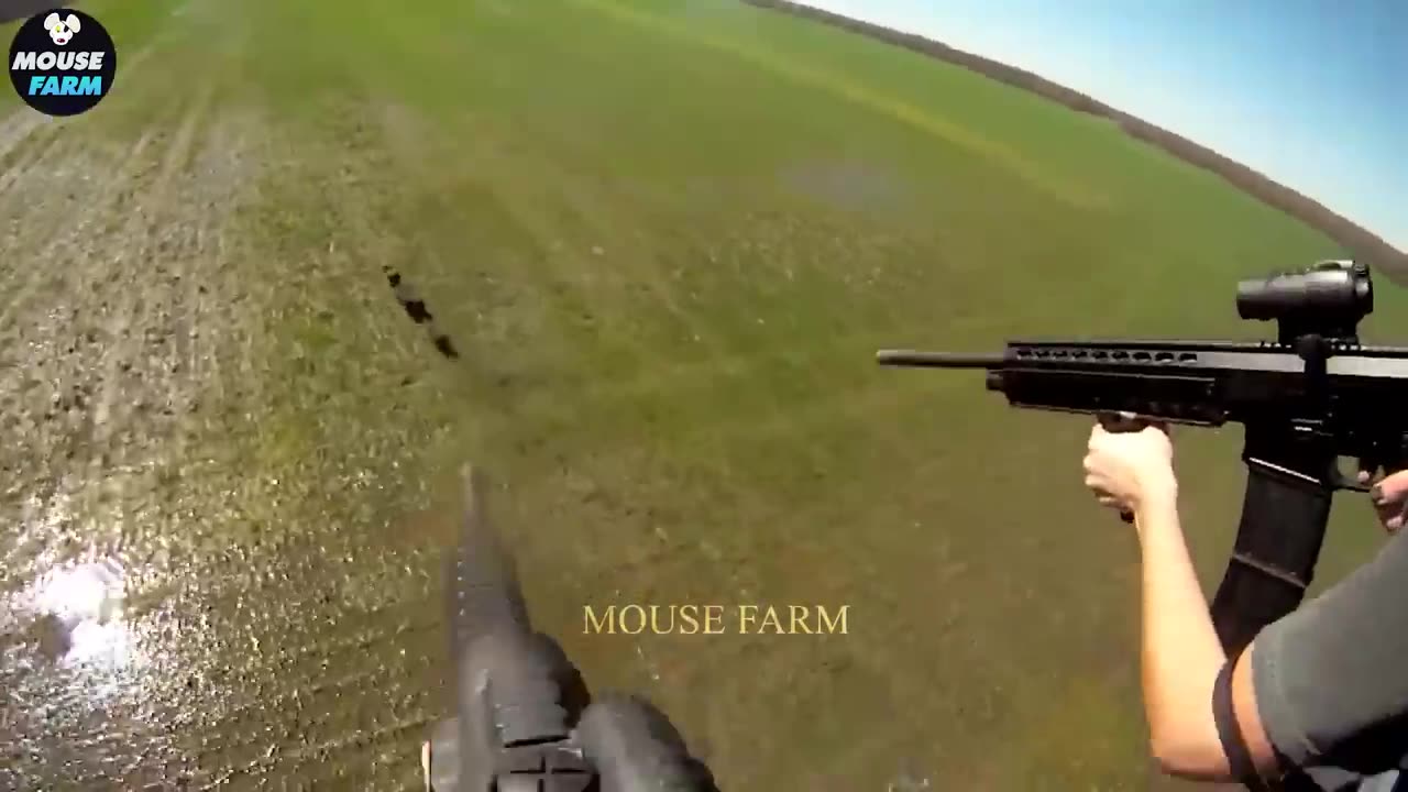 How hunters and farmers handle wolves, leopards and wild boars