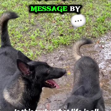 Our existence and why we live to 80!