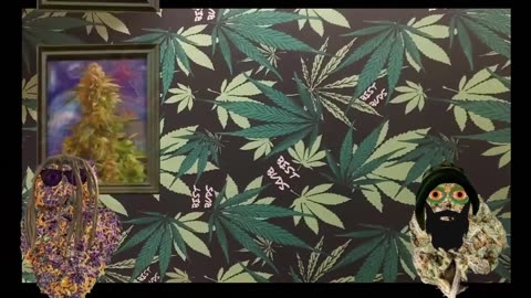 What makes a strain exotic ep 11