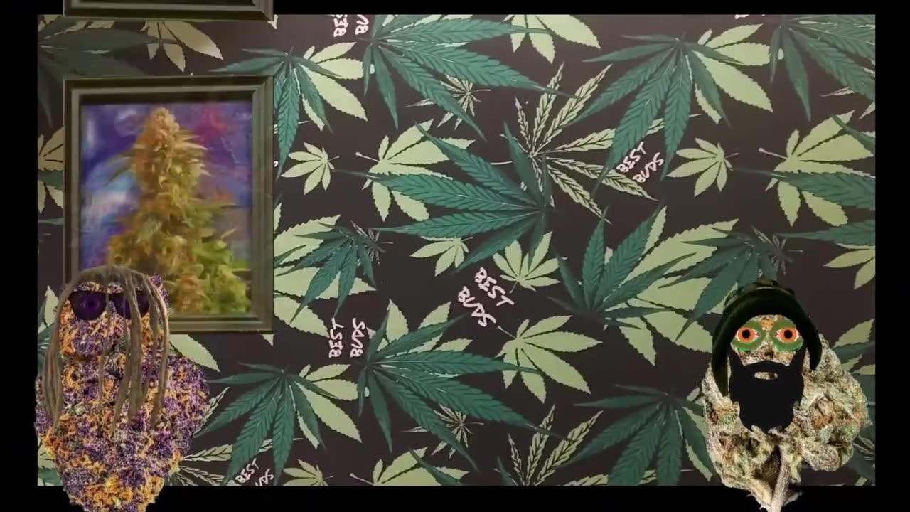 What makes a strain exotic ep 11