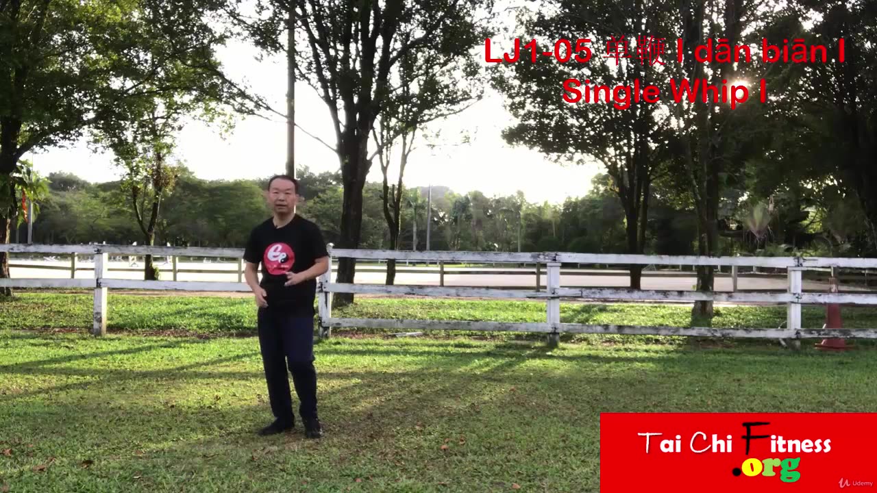 007 Single Whip.mp4