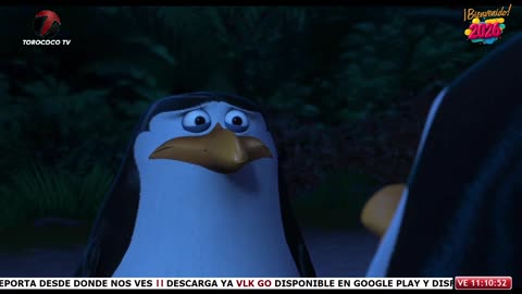 [Clip] Los Pingüinos del Madagascar: La Película | Duelo del Planes | Torococo TV (Venezuela 🇻🇪)