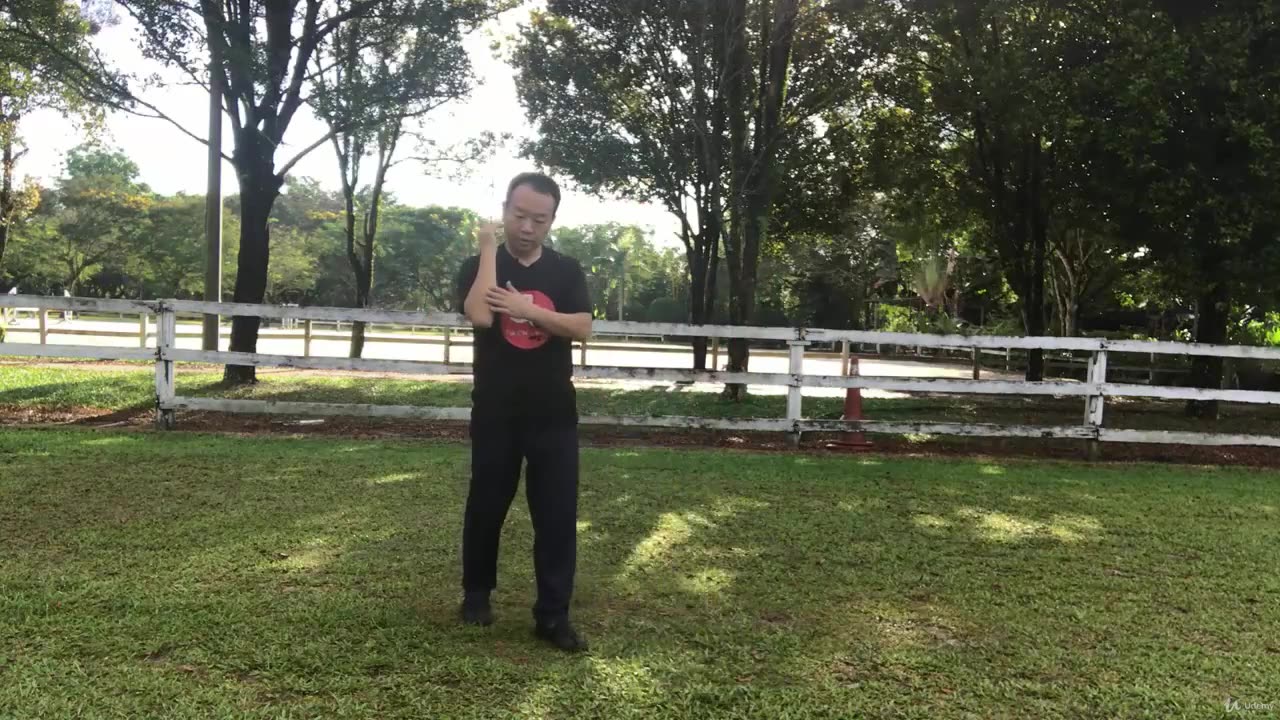 008 quan Leaping step and Elbow Blocking Hit.mp4