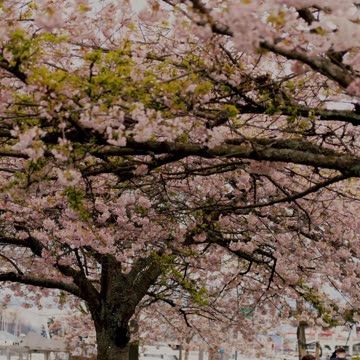 Beyond Description - Psalm 145 #jesus #motivation #scripturereading