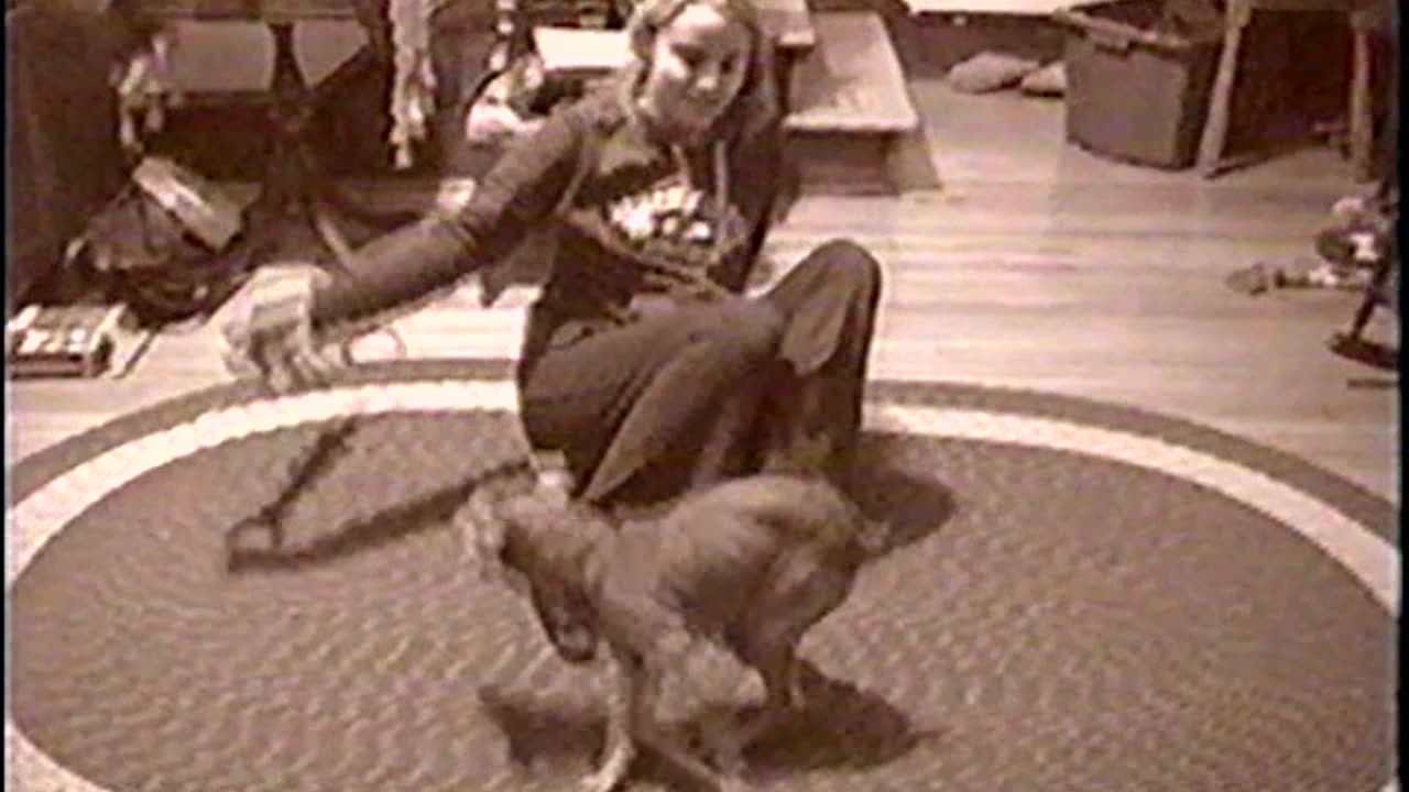 2003-VA-Dec-5