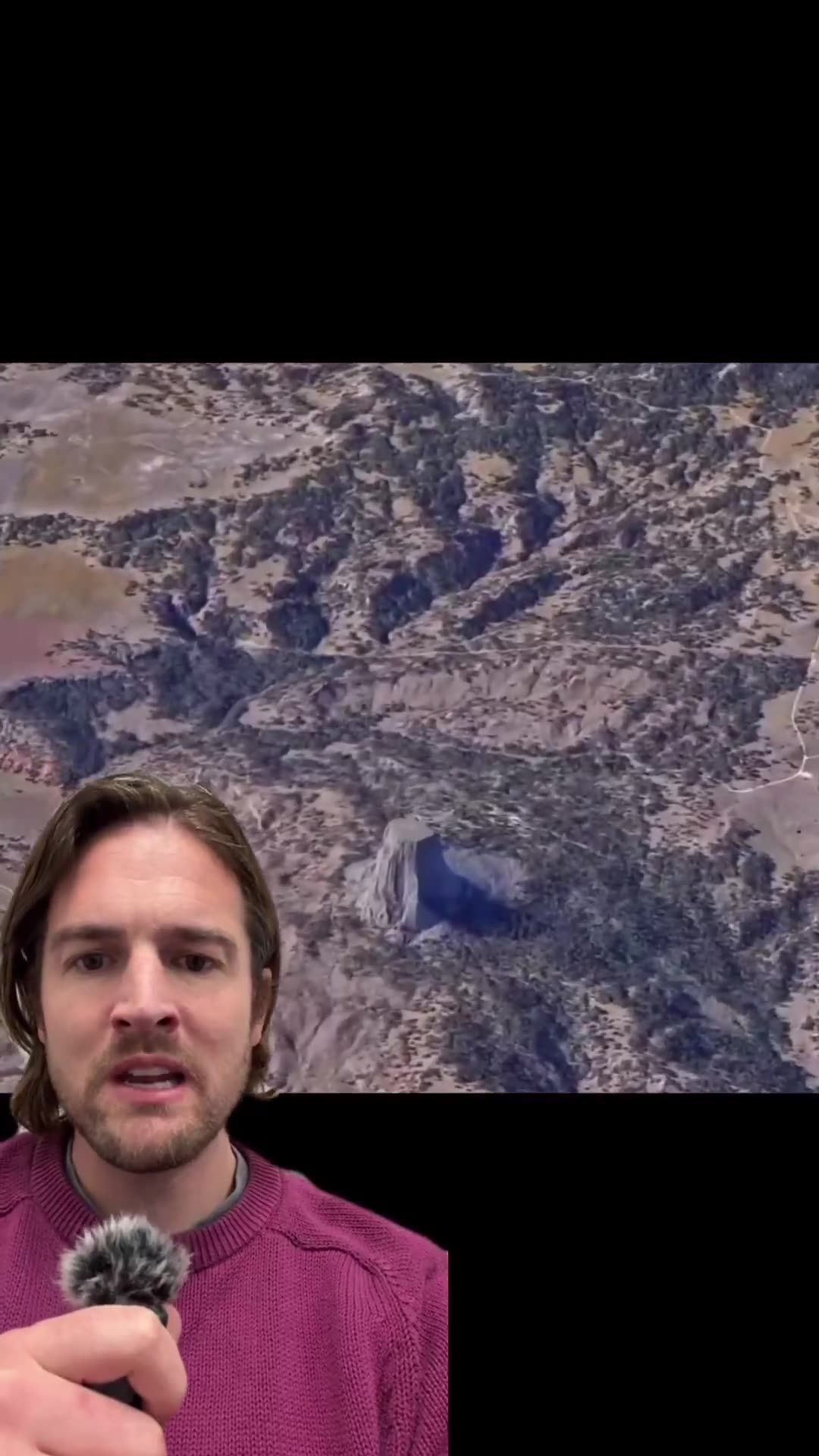 LIDAR imaging of old giant tree stump