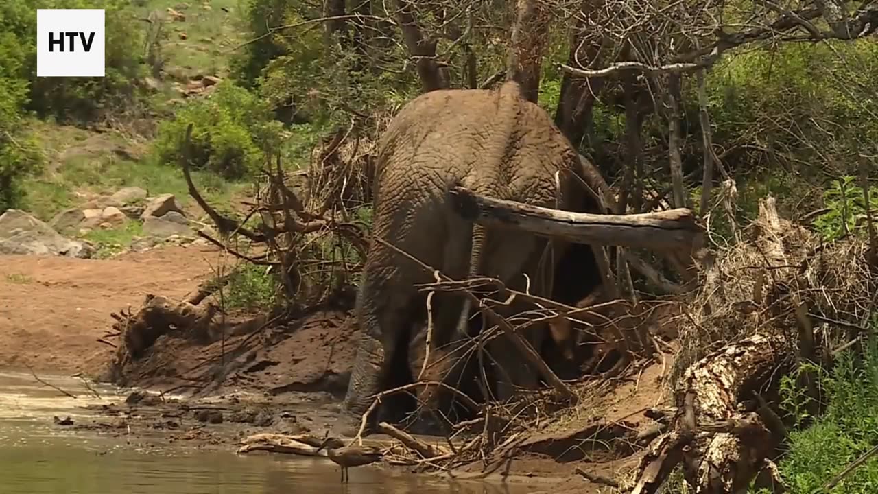 The Nomad’s Guide to Low-Impact Living