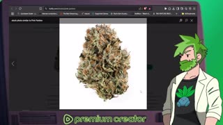 The Green Pill #15: Rainbow Rozay [Reupload]