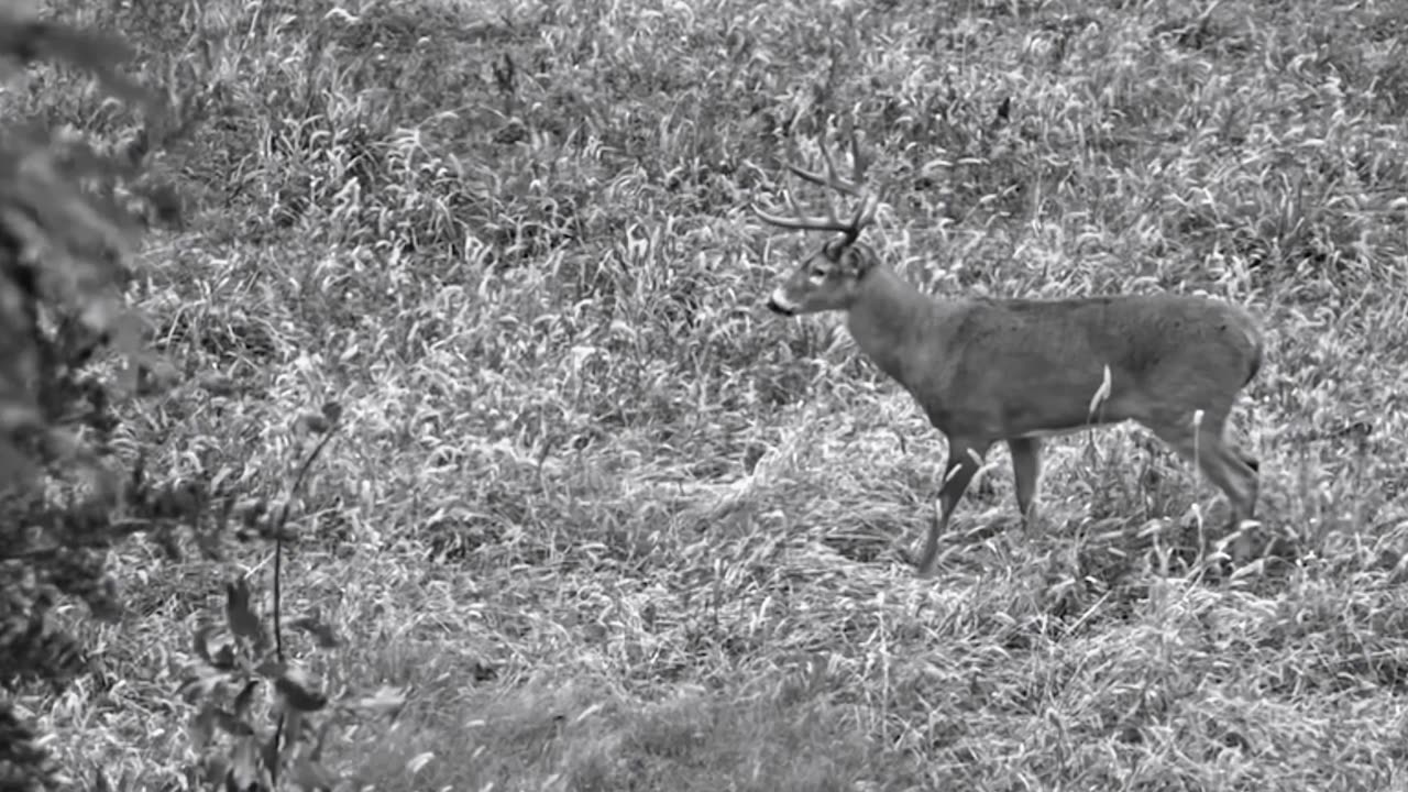 Government Approved Rockstar - A County Boy Can Survive