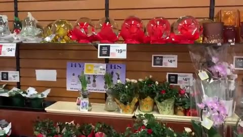 Buying Groceries from Shoprite Parsippany, New Jersey, USA Part 1