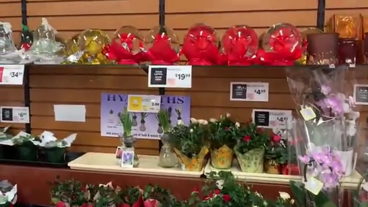 Buying Groceries from Shoprite Parsippany, New Jersey, USA Part 1