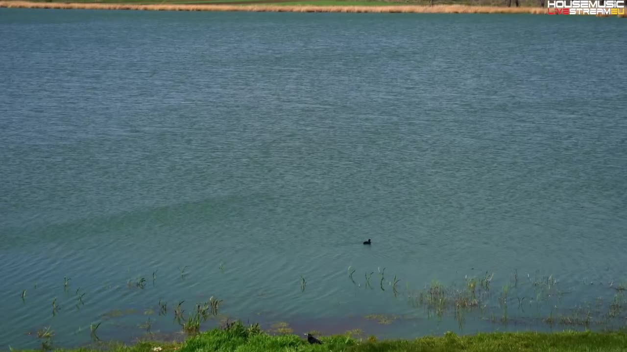 Evrika - live @ Melodic Techno / Progressive house / Dj Set