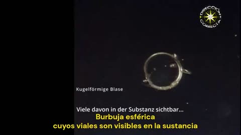 Imágenes impactantes al Campo Oscuro: Efecto de un imán en nanopartículas de la vacuna de Pfizer
