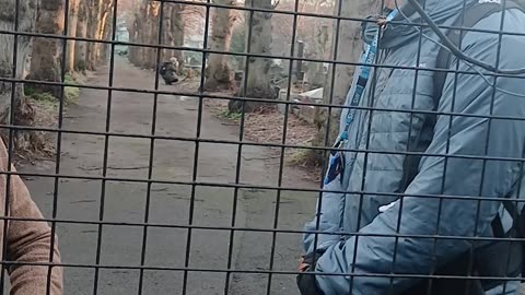 Part ??? Trespassing delusional stalkers