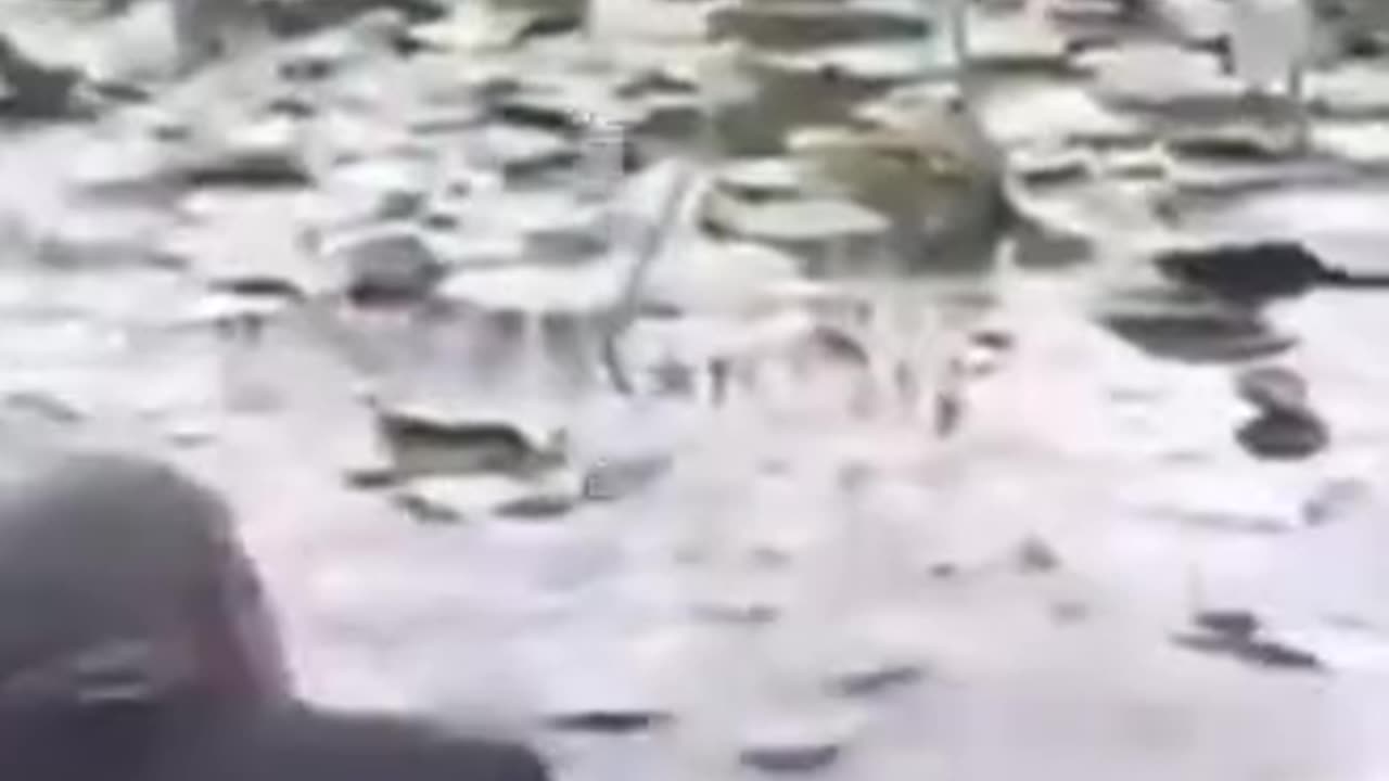 Water funny video