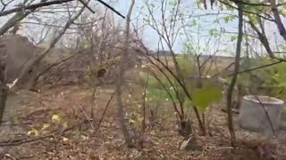 Ukraine war combat 11/12/25