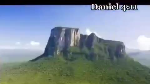 The ancient giant trees. All across the Earth