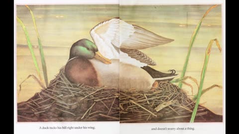 Going to Sleep on the Farm