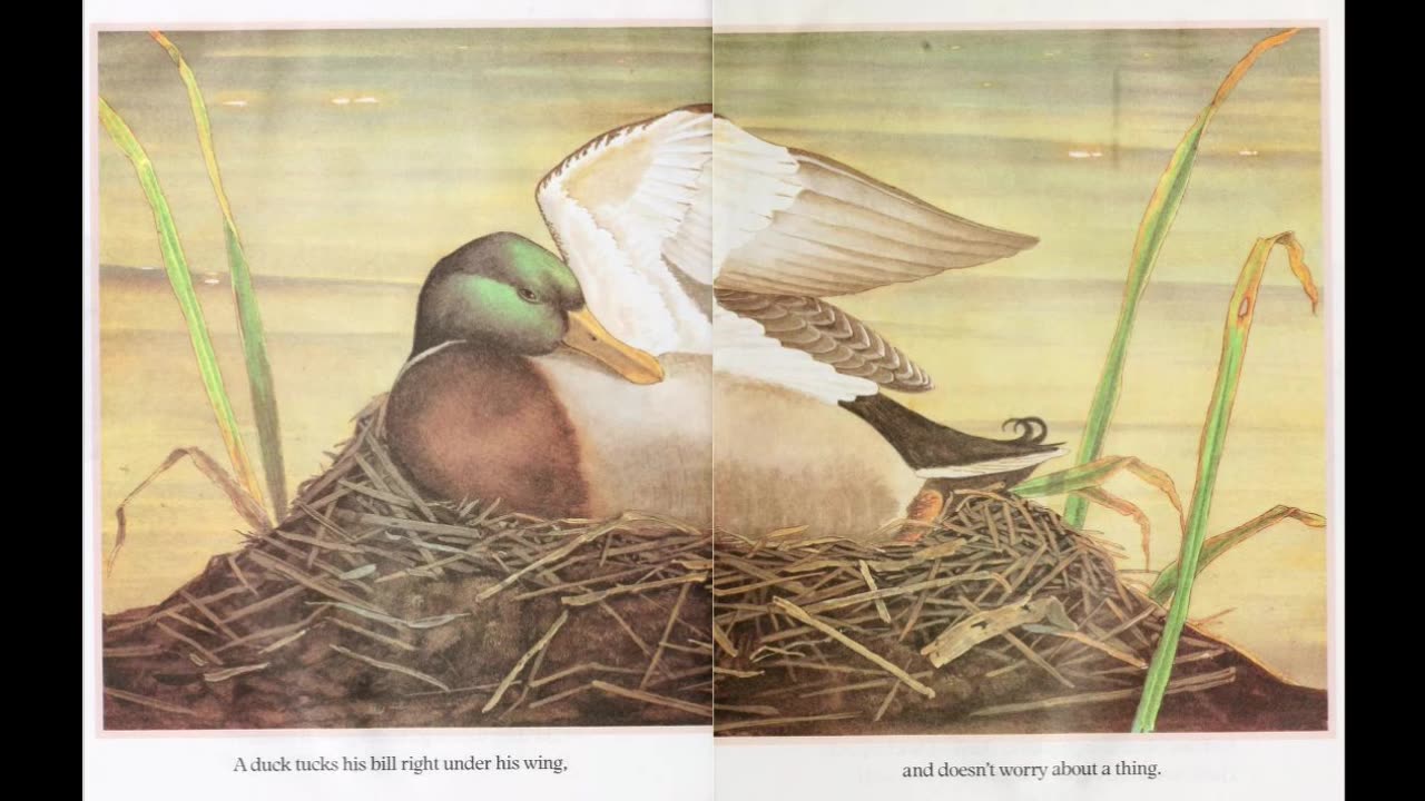 Going to Sleep on the Farm