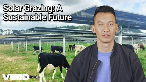 Solar Grazing for Dairy Cattle:Farming the Sun and the Land Together