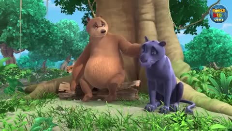 For animals videos