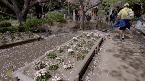 A short stroll down the hill on Enoshima Island