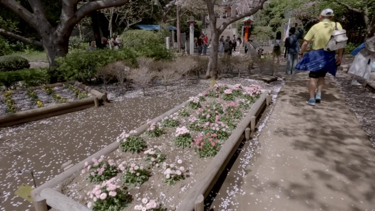 A short stroll down the hill on Enoshima Island