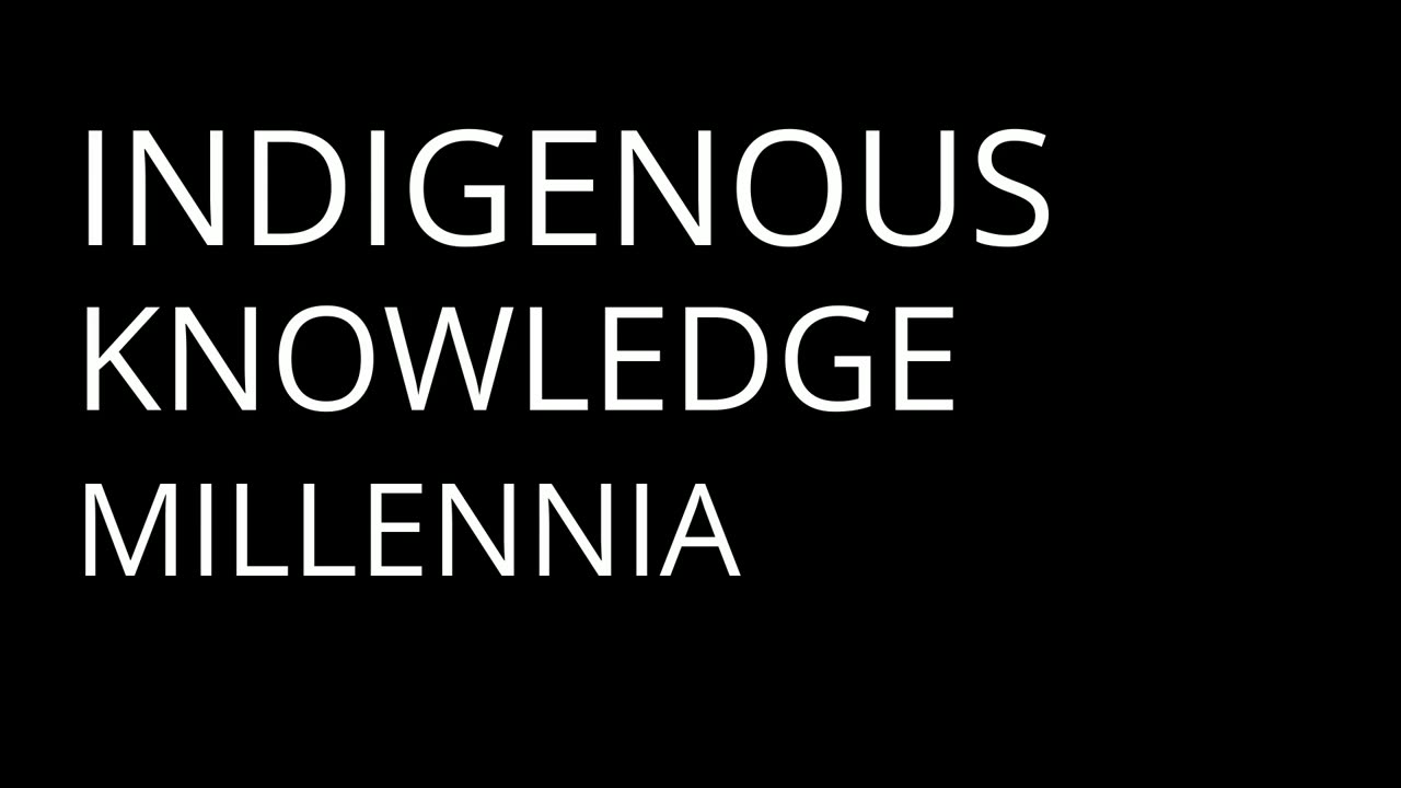 The Dark Side of Sacred Journeys | Terence McKenna - Part 4