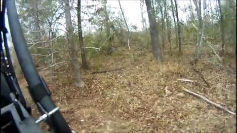 Gopro: Jagdterriers hunting wild boar