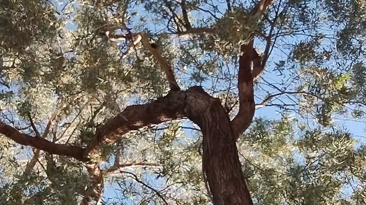 that rhona moment - june 30th 2025 -