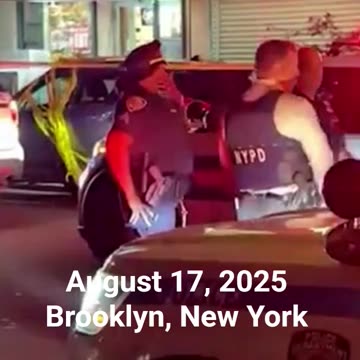 GUN LAWS IN ACTION - VOL. 669: THE TASTE OF CITY LOUNGE SHOOTING MASSACRE