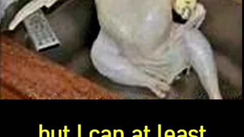 🤣TRY NOT TO LAUGH FUNNY MEMES 🤣