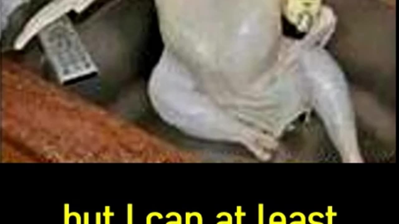 🤣HILARIOUS FUNNY TRY NOT TO LAUGH MEMES 🤣