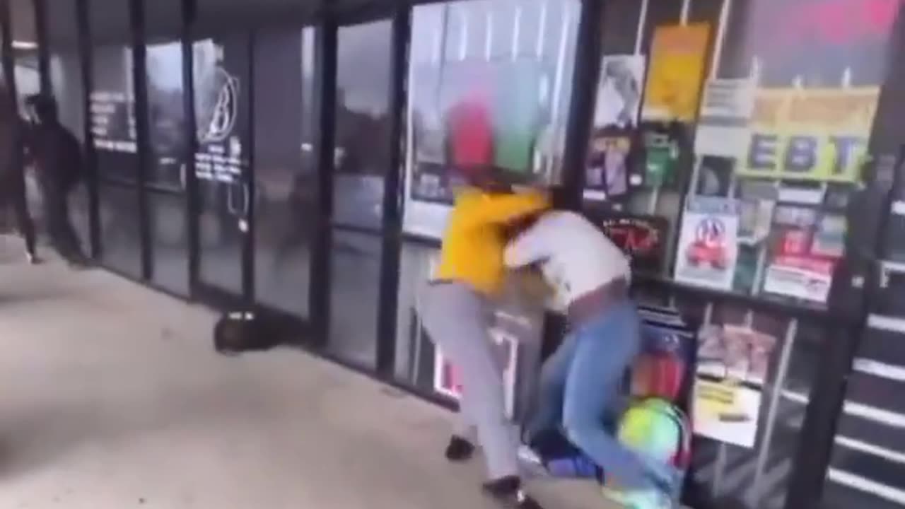 Baboons arguing
