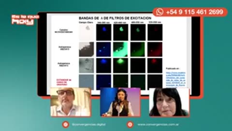 Vacunas mas de 50 toxicos - ARGENTINA - Ejemplo en el Mundo