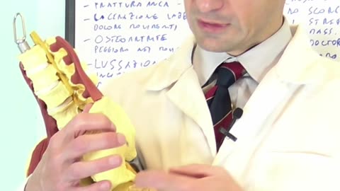 Dolore ad Anca e Inguine, Lesione Labbro Acetabolare e Artrosi (Osteoartrite)