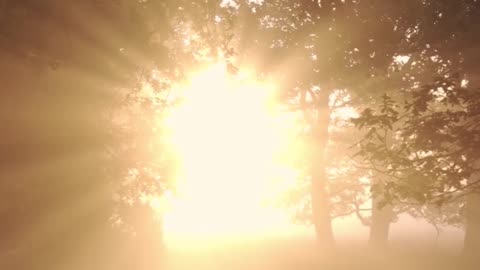 THE END OF ALL THINGS - Lama Dawa's Commentary