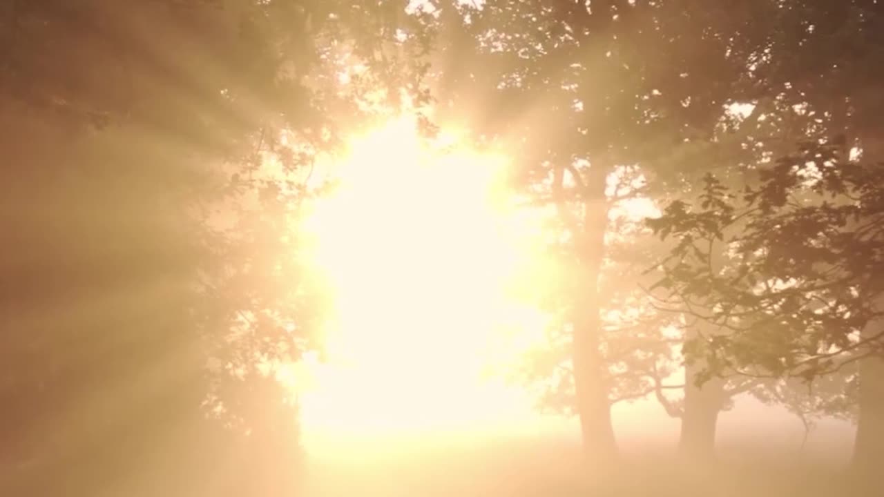 THE END OF ALL THINGS - Lama Dawa's Commentary
