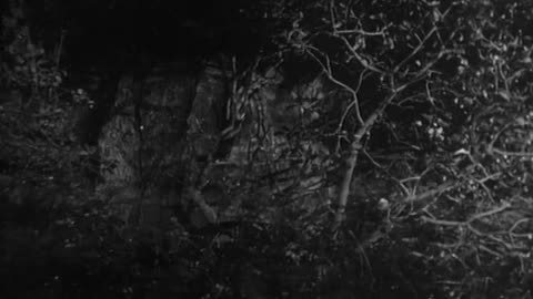 "Superman and the Mole Men" Starring George Reeves and Phyllis Coates