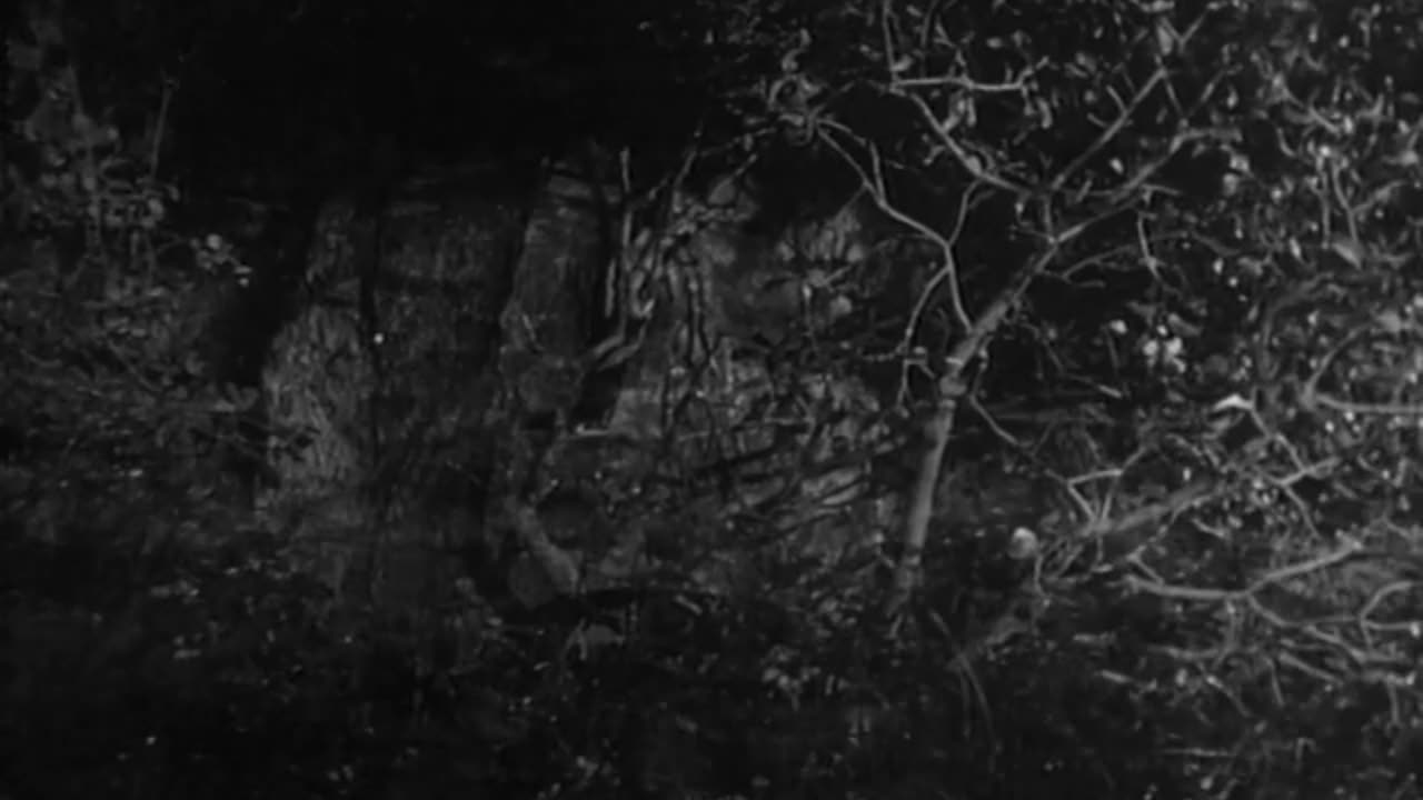 "Superman and the Mole Men" Starring George Reeves and Phyllis Coates