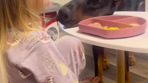 🥰🐶 A Love Story for the Ages: Dog's Unwavering Loyalty | FunFM
