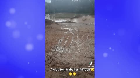 Best Funny Videos Of 2025 TRY NOT TO LAUGH Funny Videos