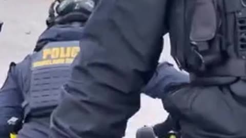 DHS officers arrested a furry who was obstructing traffic at a federal facility in Minneapolis