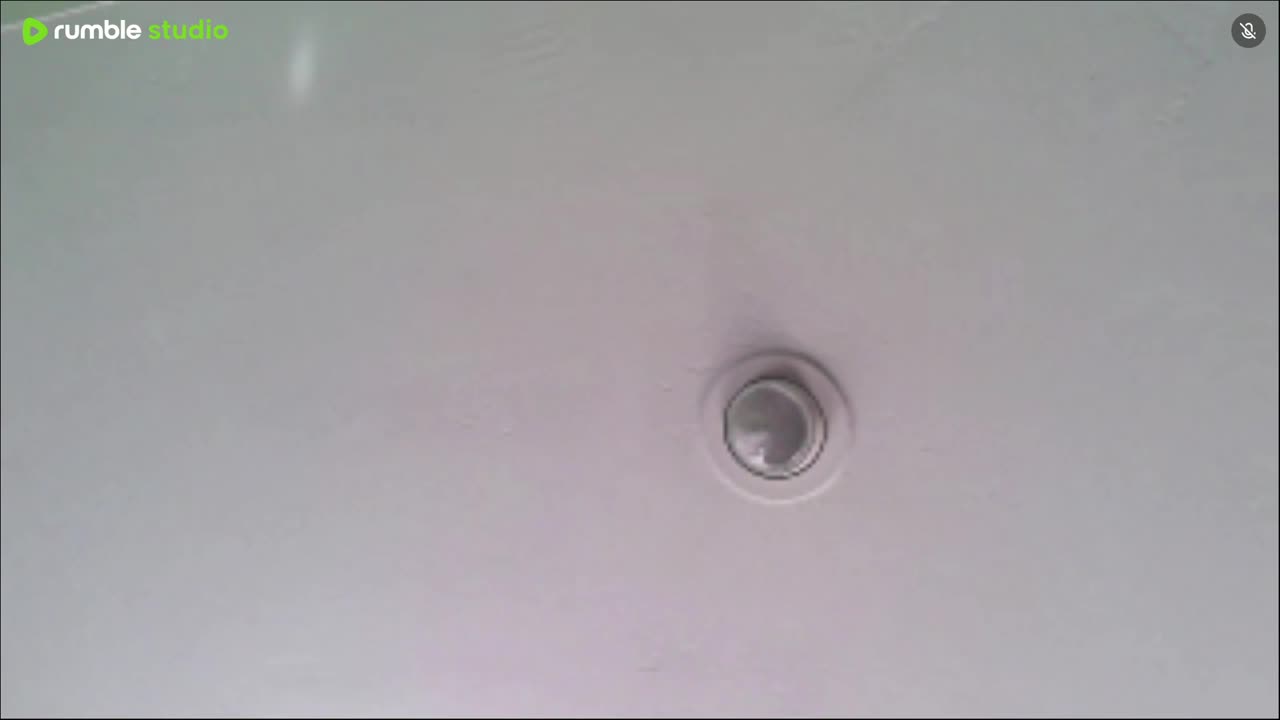 adamsfoxsportsnetworks