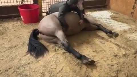 😂💨 When You Just Can't Hold It In! | FunFM