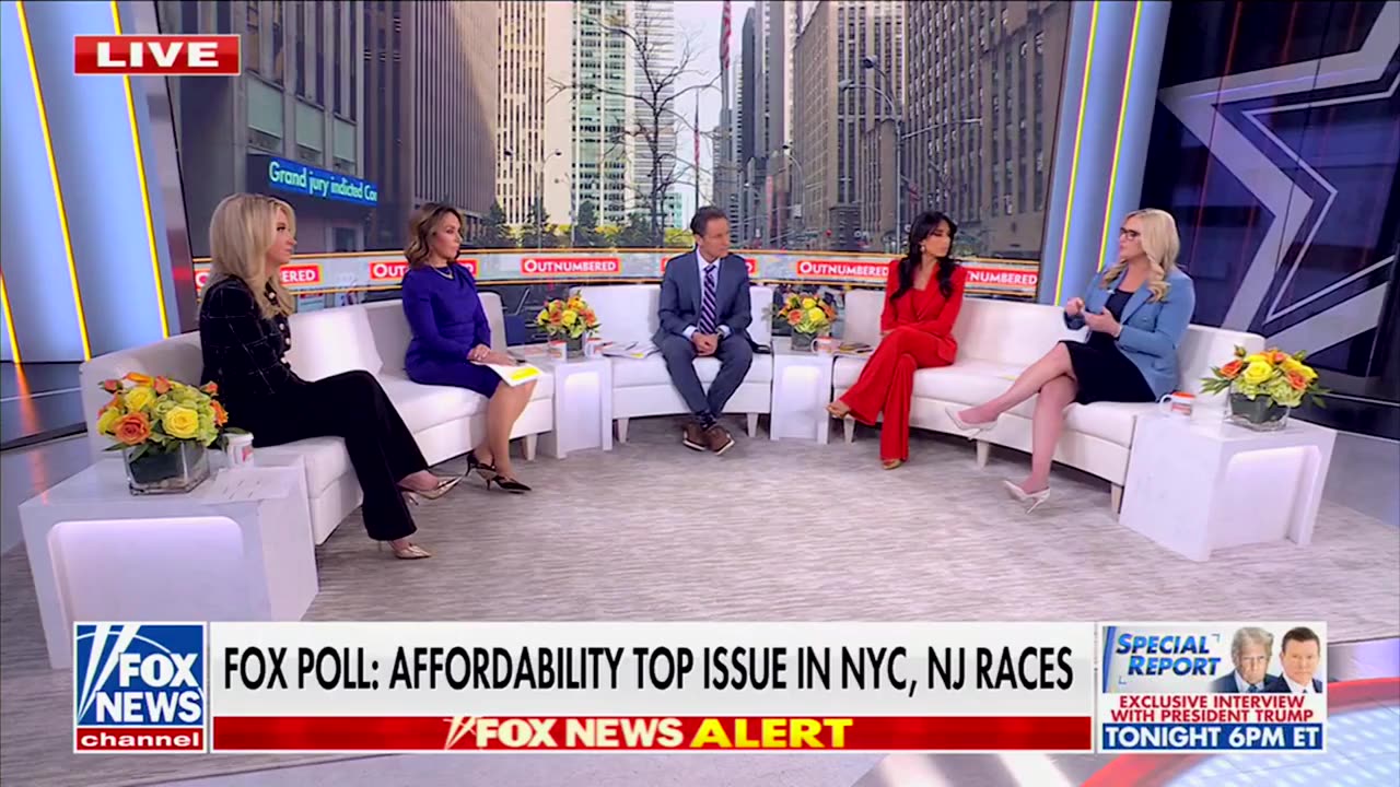 Kayleigh McEnany And Dem Guest Have Verbal Brawl Over Election Night Results