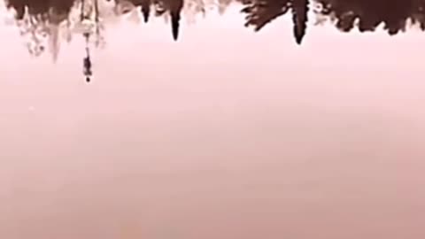 😨👻 You Won't Believe What Happens Next! | TheHauntingHour